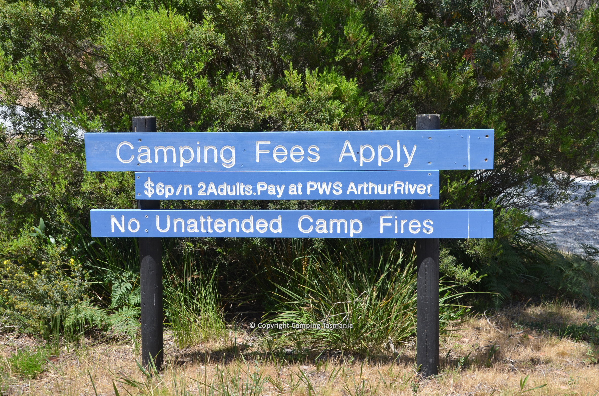 prickly wattle campground arthur river tasmania