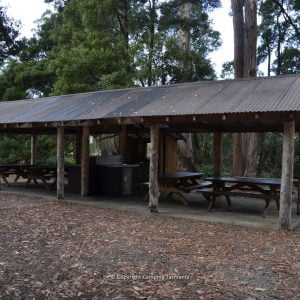 camping mt field national park tasmania