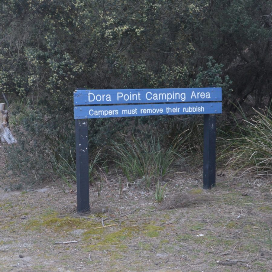 camping dora point bay of fires